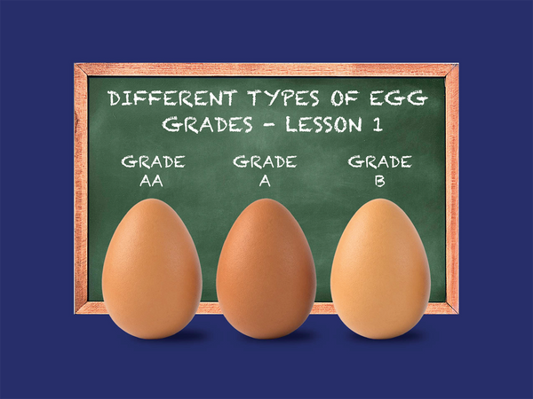 Egg Grades 101 | What Do Egg Grades Mean?