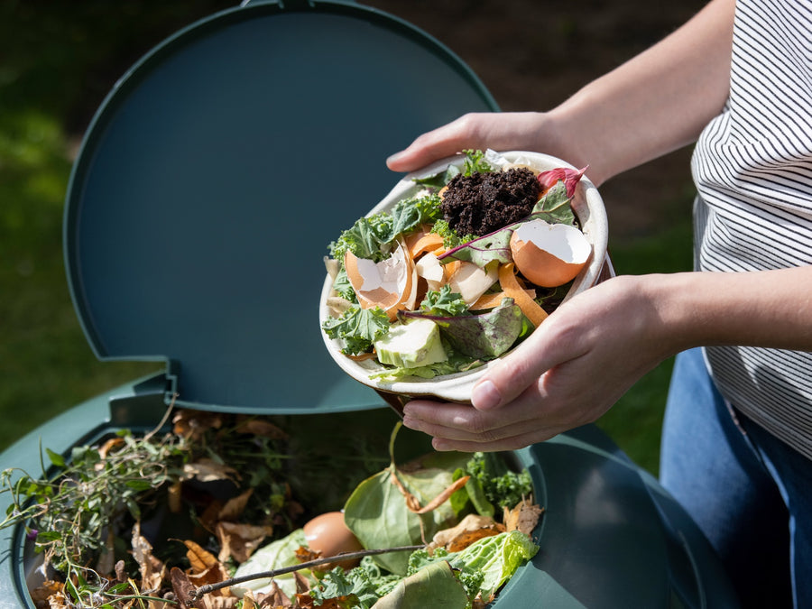 How to Compost Eggshells at Home