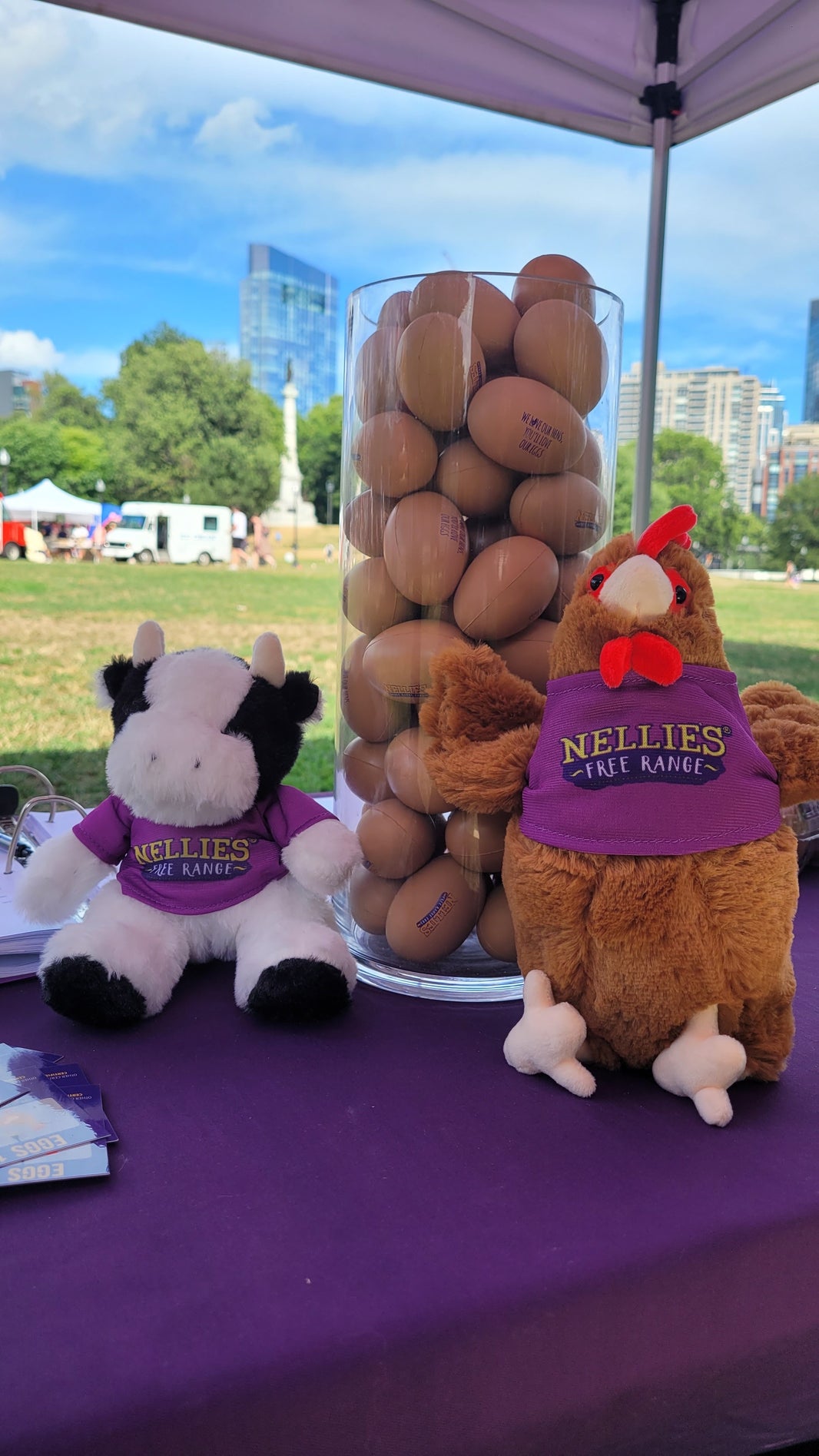 Eggs in a glass jaw. There's a stuffed chicken and a stuffed cow by the jar, both wearing a purple shirt