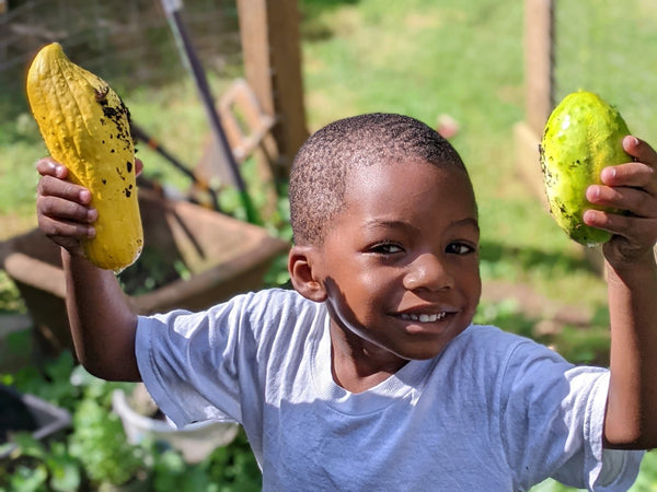 A young boy holds up 2 freshly picked squash.
