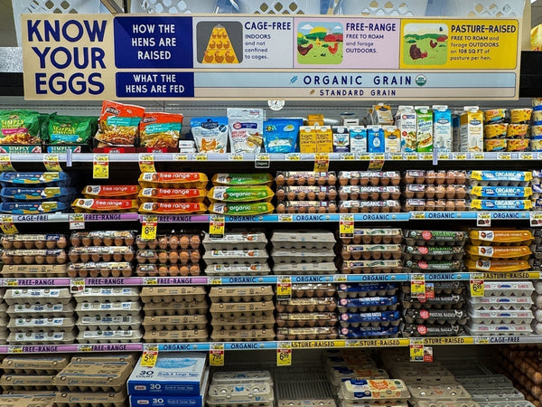 Pete & Gerry's and Nellie's Free Range in the Egg Aisle