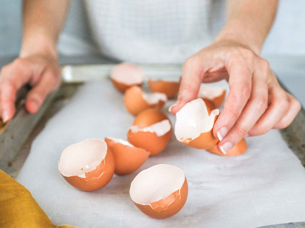 Creative Ways to Reuse Eggshells