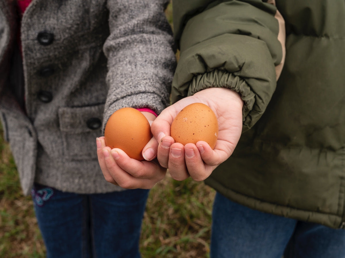 Two outstretched hands, each holding a brown egg.