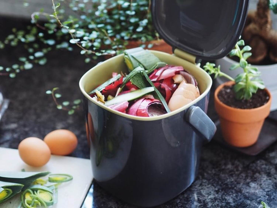 How to Compost at Home