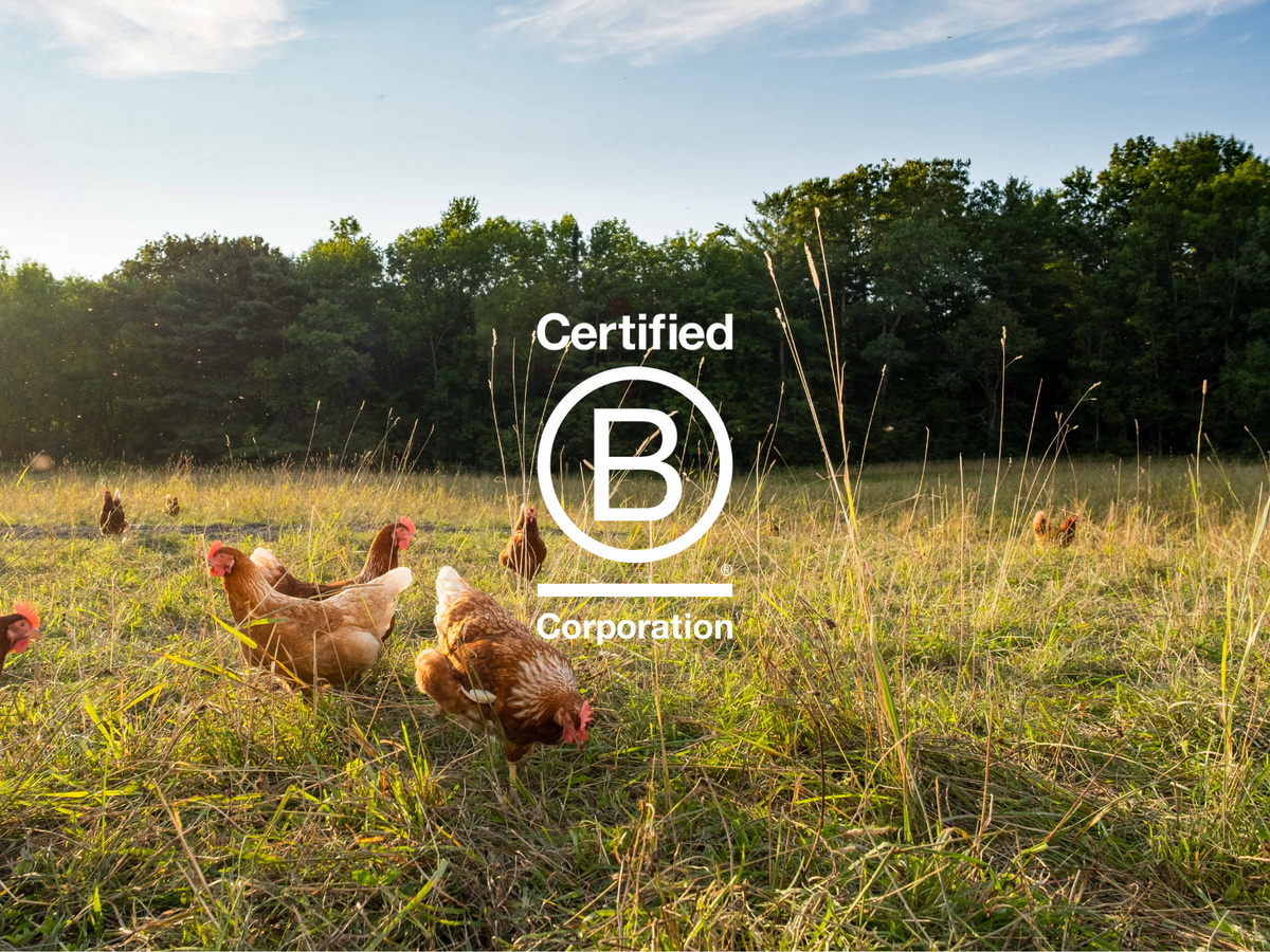 Pete & Gerry's Is Proud to Be a Certified B Corporation