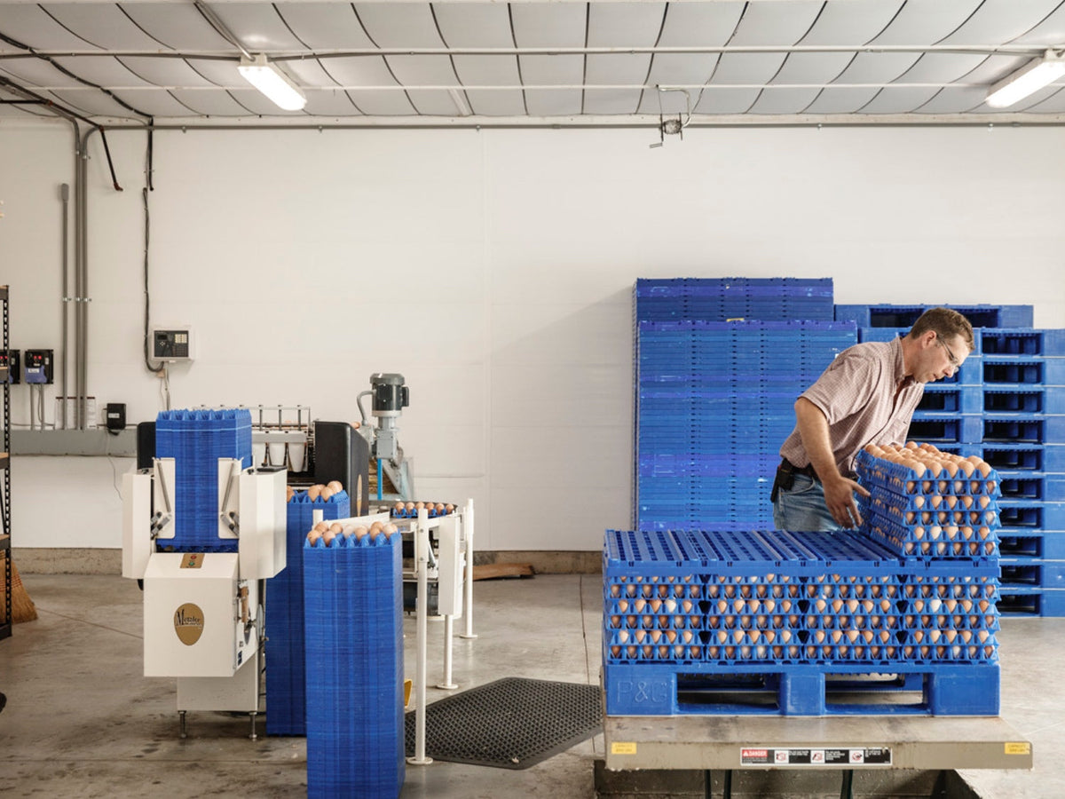 Why Are Egg Prices Going Up?
