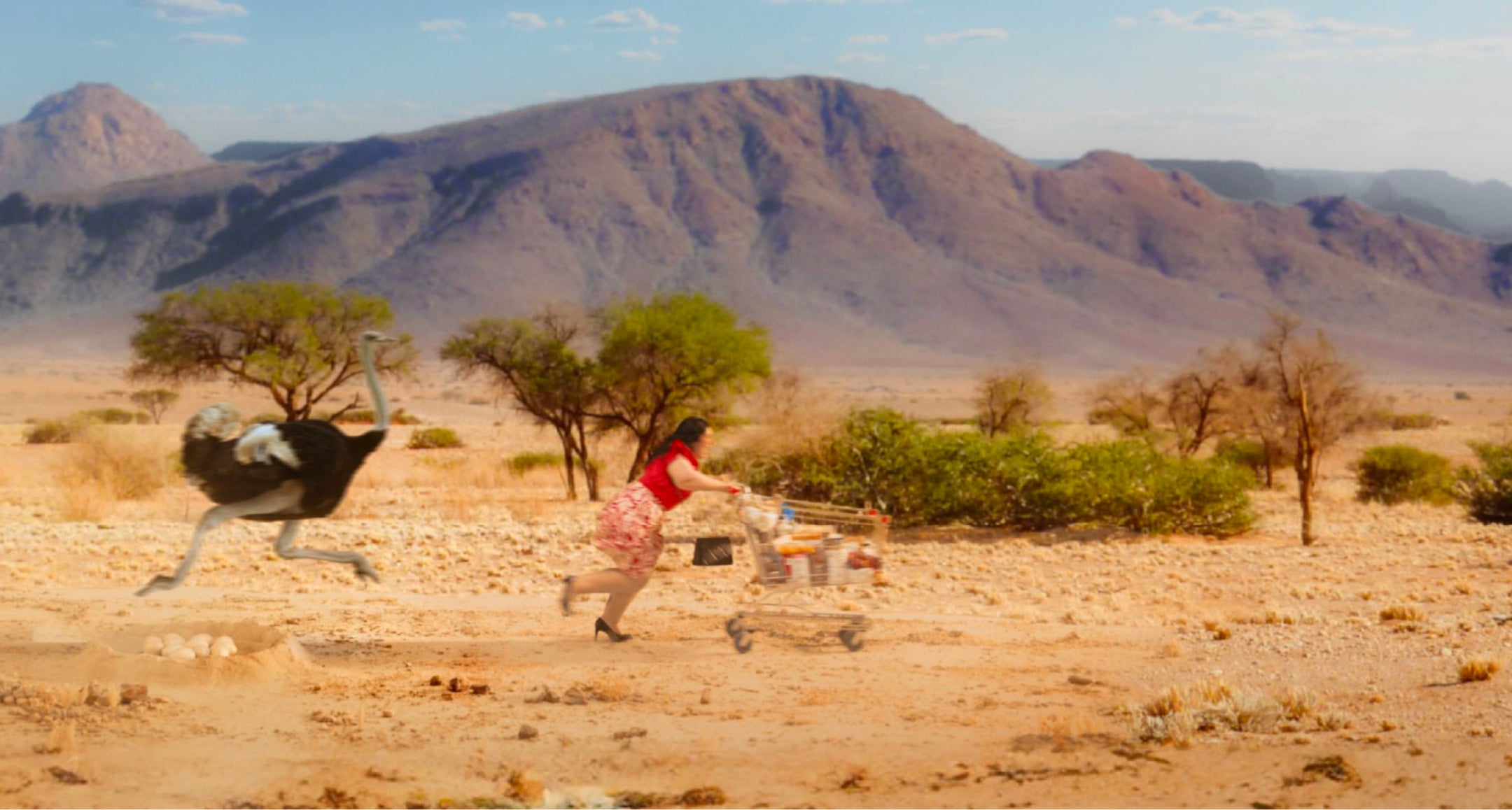 A woman with a shopping cart being chased by an ostrich