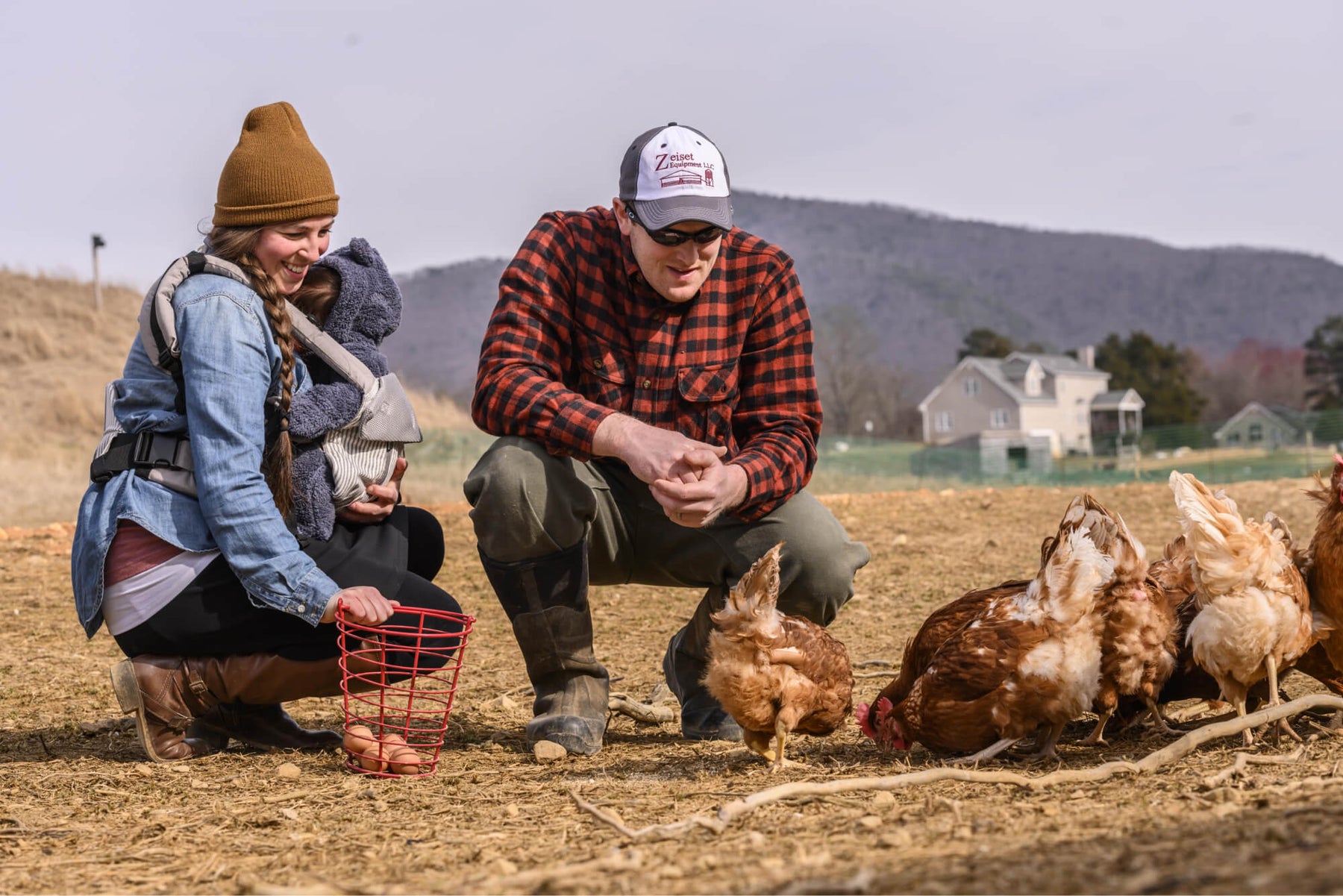 A man, woman, and baby taking eggs from a group of chickens on a farm