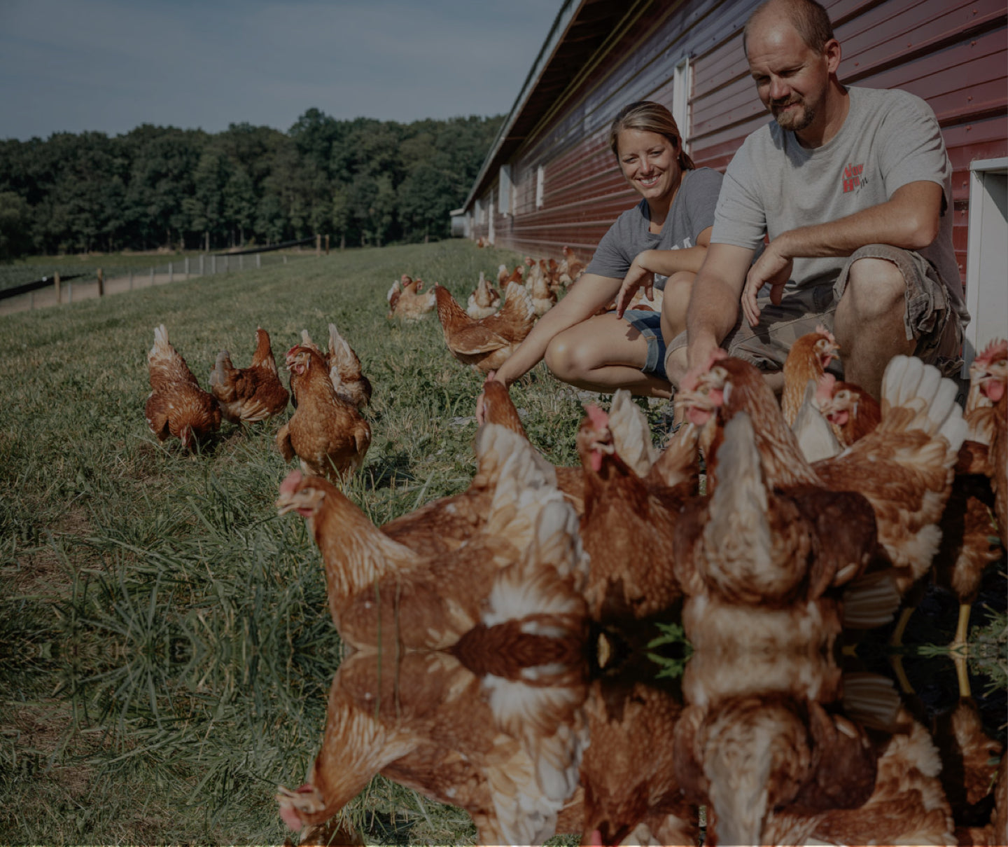 two egg farmers outside with their chickens pete & gerry's organic eggs