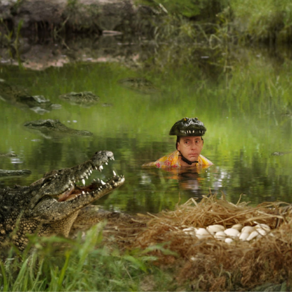 A short video clip of a man stealing eggs from an alligator's nest